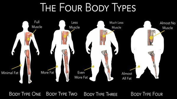 The Four Body Types & Skinny Fat