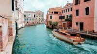 Coronavirus COVID-19 - Wildlife Returns to Venice, Italy Canals
