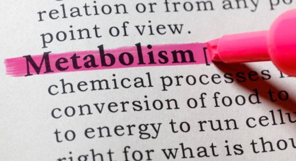 Active & Passive Metabolism, Why is My Metabolism Slow or Fast?