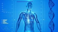 What is My Body Type? Genetics/DNA and Body Types - Fellow One Research, The Four Body Types