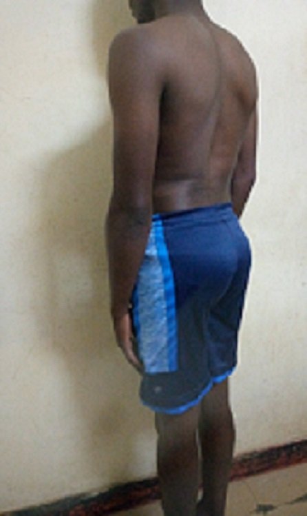 Fellow One Research, The Four Body Types-Body Type Quiz/Test (Male/Man) Results 849, Body Type One (BT1)