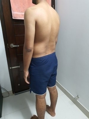 Fellow One Research, The Four Body Types-Body Type Quiz/Test (Male/Man) Results 997, Body Type Two (BT2)