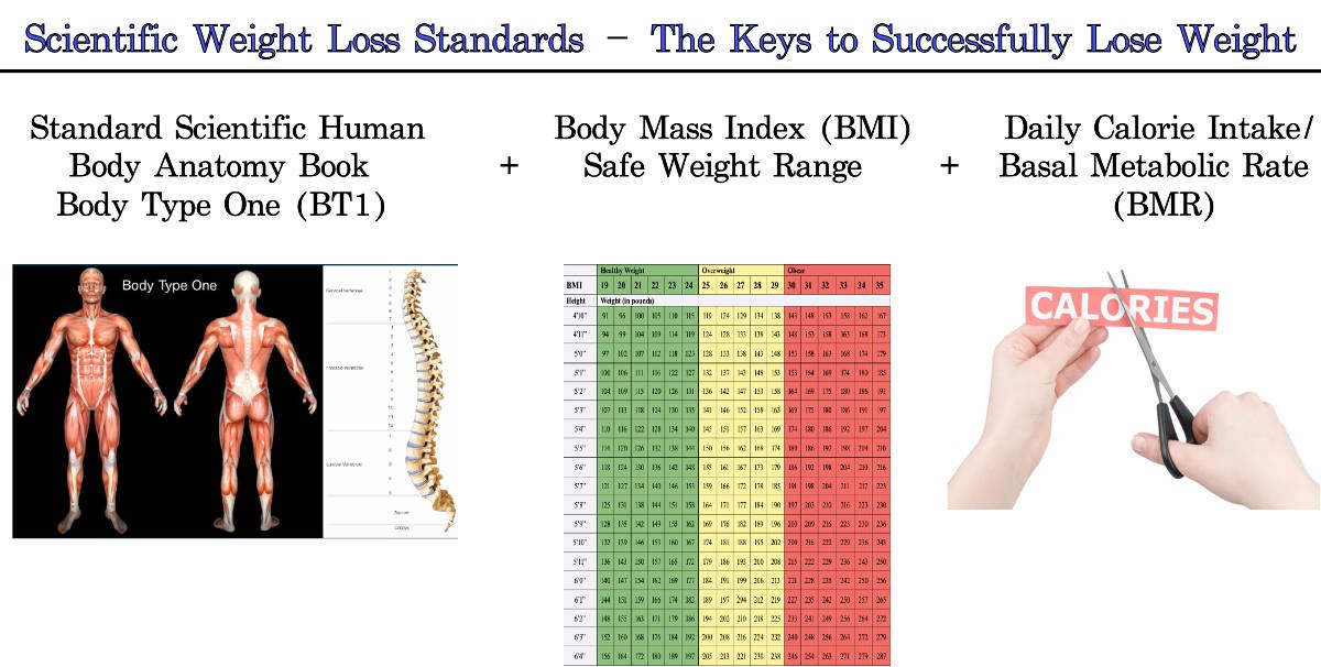 Scientific Weight Loss Standards, How to Successfully Lose Weight - Body Type One + Body Mass Index (BMI) + Calories (Basal Metabolic Rate/BMR)