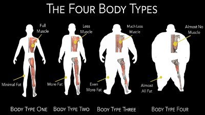 The Four Body Types - Body Type One (BT1), Body Type Two (BT2), Body Type Three (BT3), Body Type Four (BT4) - What Is My Body Type?