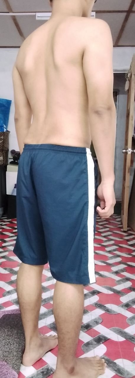 Fellow One Research, The Four Body Types-Body Type Quiz/Test (Male/Man) Results 1072, Body Type Two (BT2)