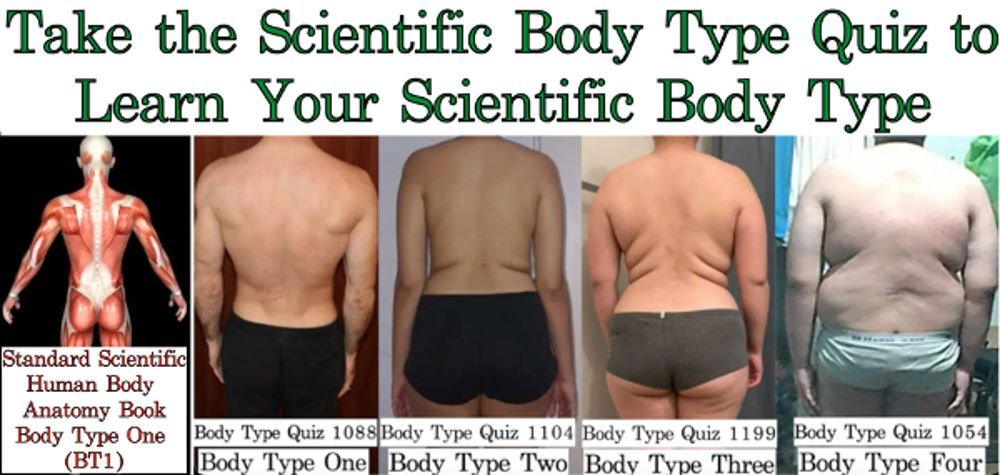 The Four Body Types - Comparing BT1, BT2, BT3, and BT4