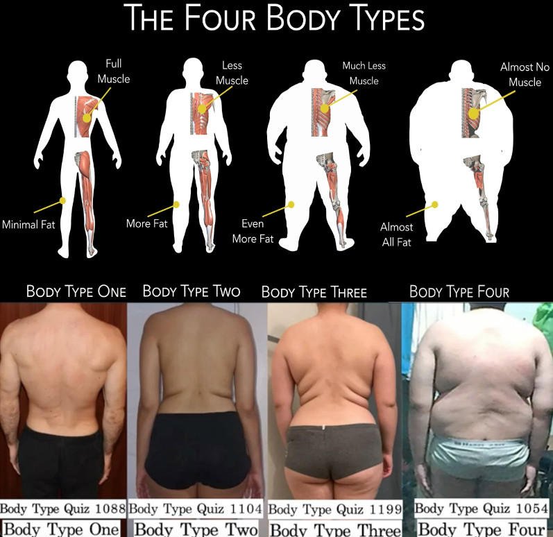 Stocky Body Type