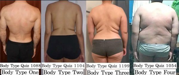 The Four Body Types - Body Type One (BT1), Body Type Two (BT2), Body Type Three (BT3), Body Type Four (BT4)