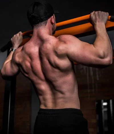 Insights from Gnosis: Muscle Loss & Muscle Gain Science – Muscles & Muscle Mass